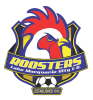 ROOSTERS LAKE MACQUARIE FC
